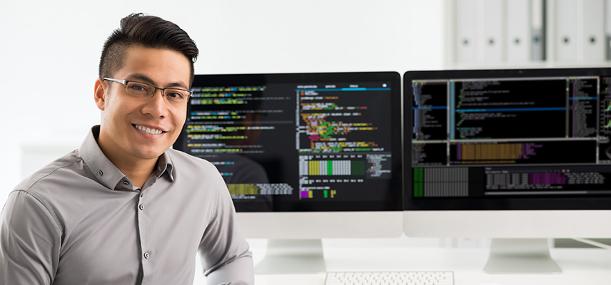 Was machen Softwareingenieure?